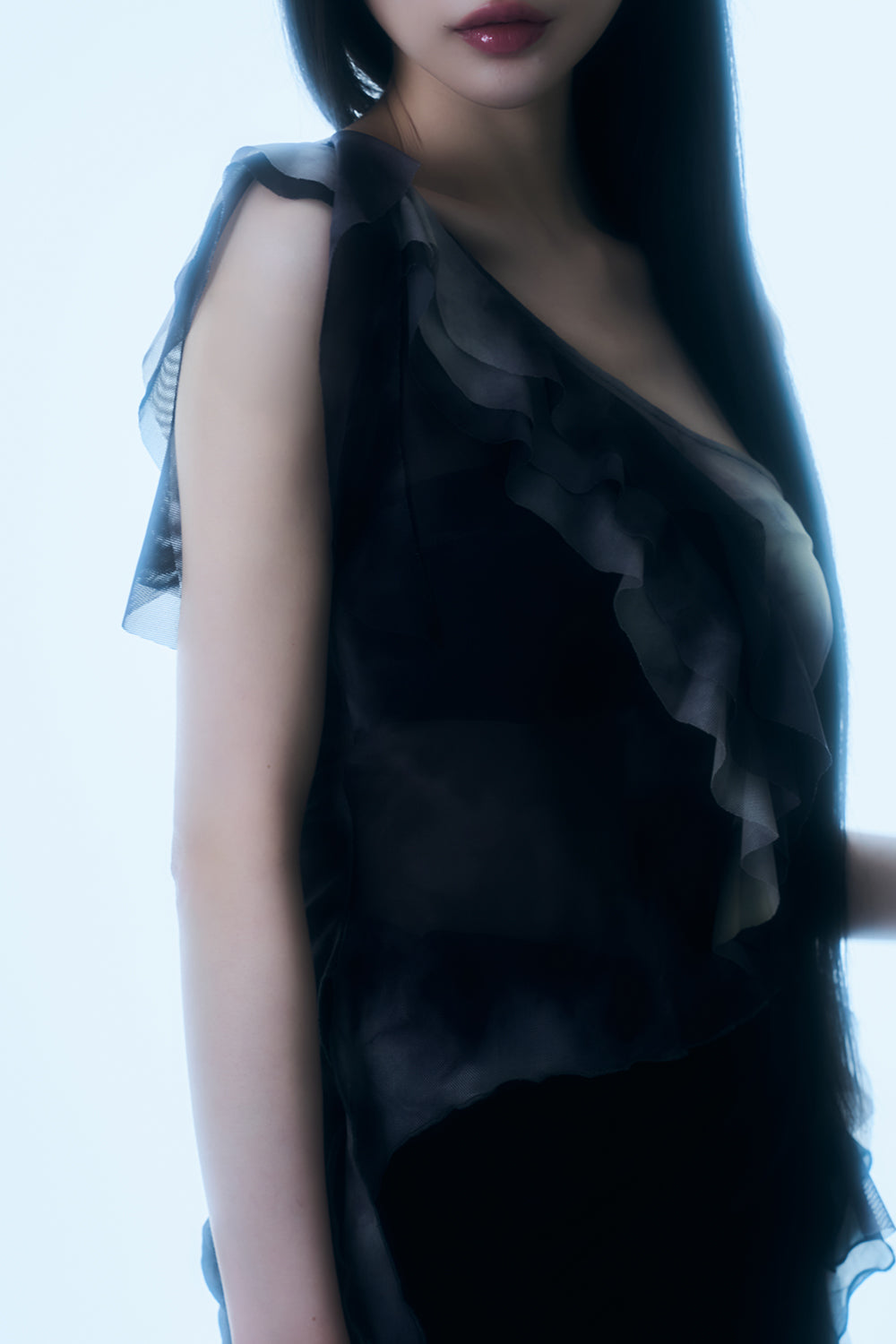 Shadow Fringe Sheer Top